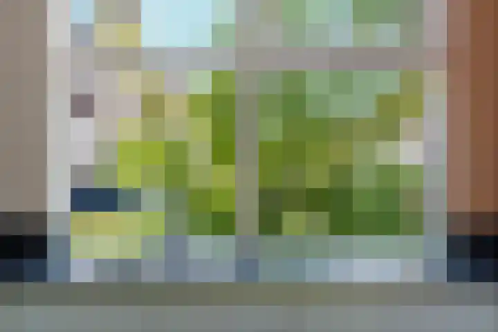 De Veldse Hofstede 56 Zetten thumbnail 17