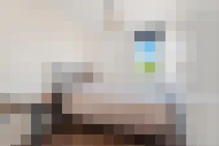 De Veldse Hofstede 56 Zetten thumbnail 23