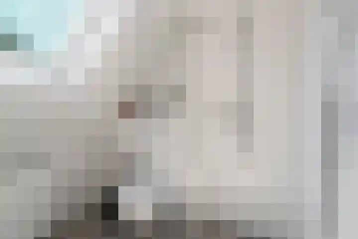 De Veldse Hofstede 56 Zetten thumbnail 25