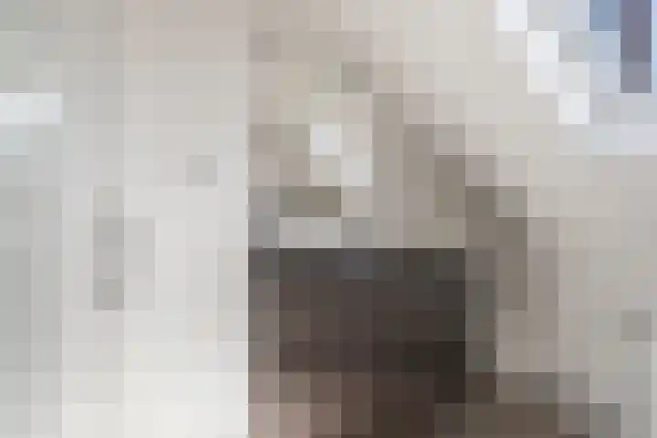 De Veldse Hofstede 56 Zetten thumbnail 26