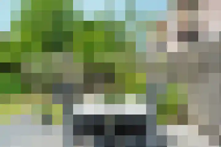 De Veldse Hofstede 56 Zetten thumbnail 42