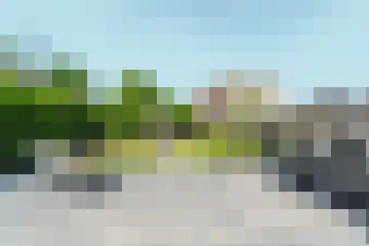 De Veldse Hofstede 56 Zetten thumbnail 48