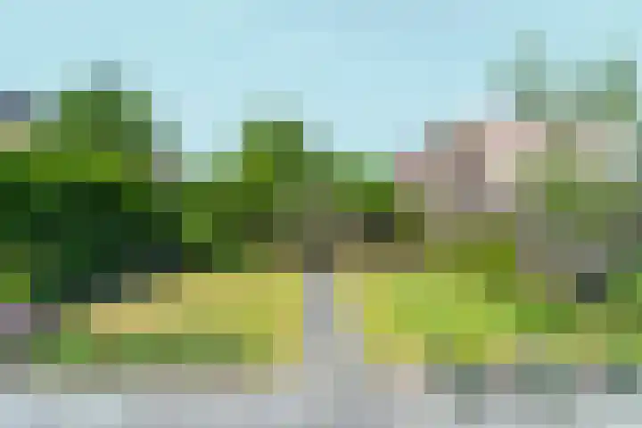 De Veldse Hofstede 56 Zetten thumbnail 49