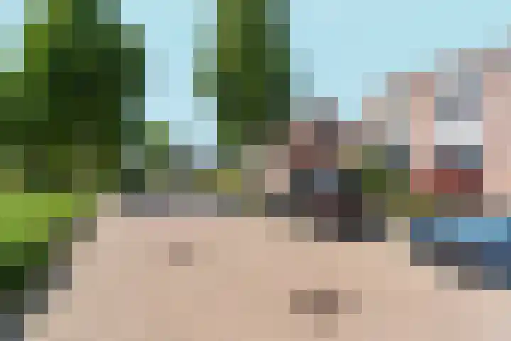De Veldse Hofstede 56 Zetten thumbnail 54
