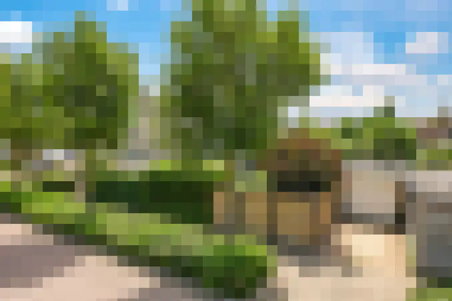 De Veldse Hofstede 59 Zetten thumbnail 10