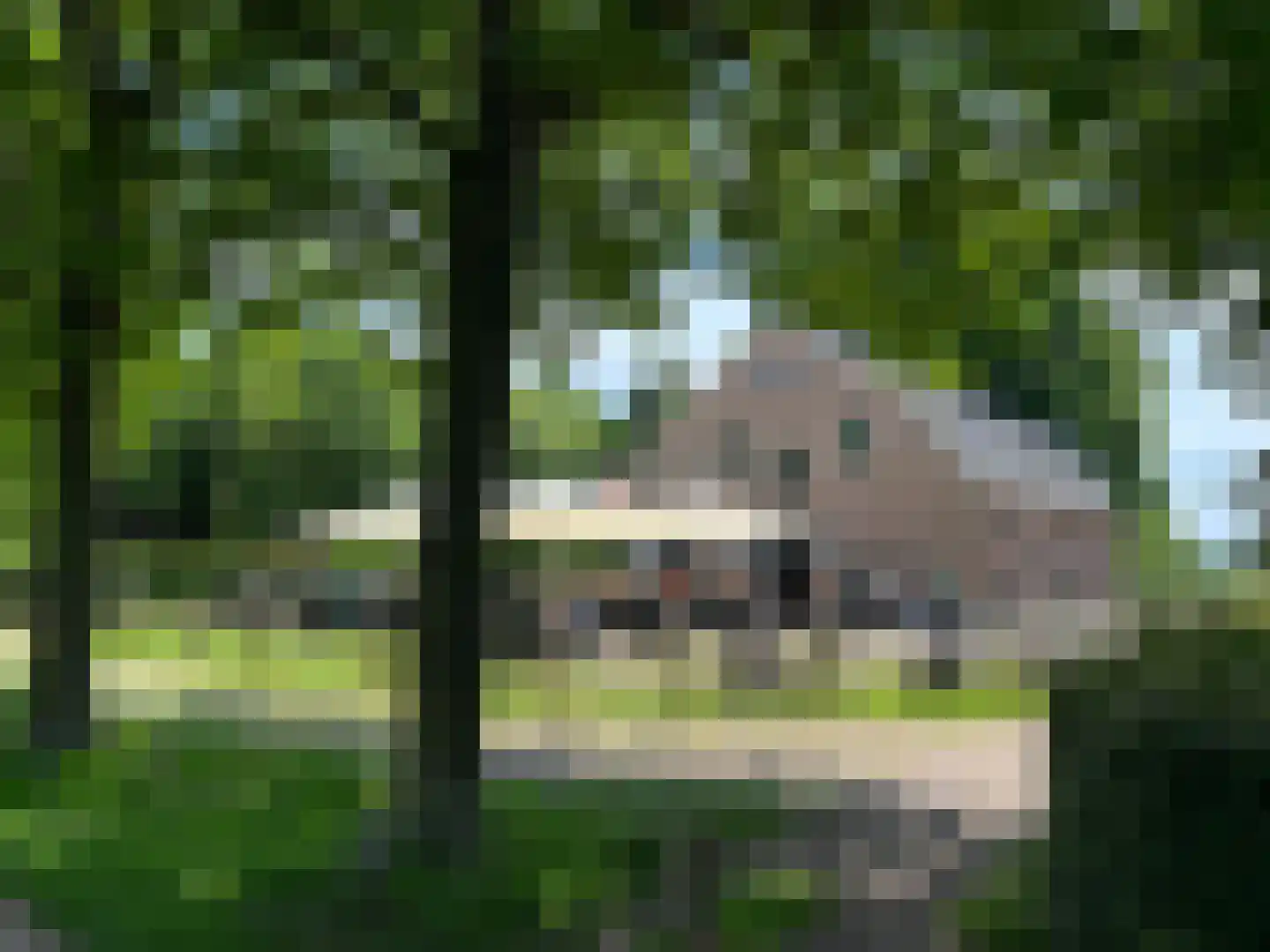 De Veldse Hofstede 59 Zetten thumbnail 103