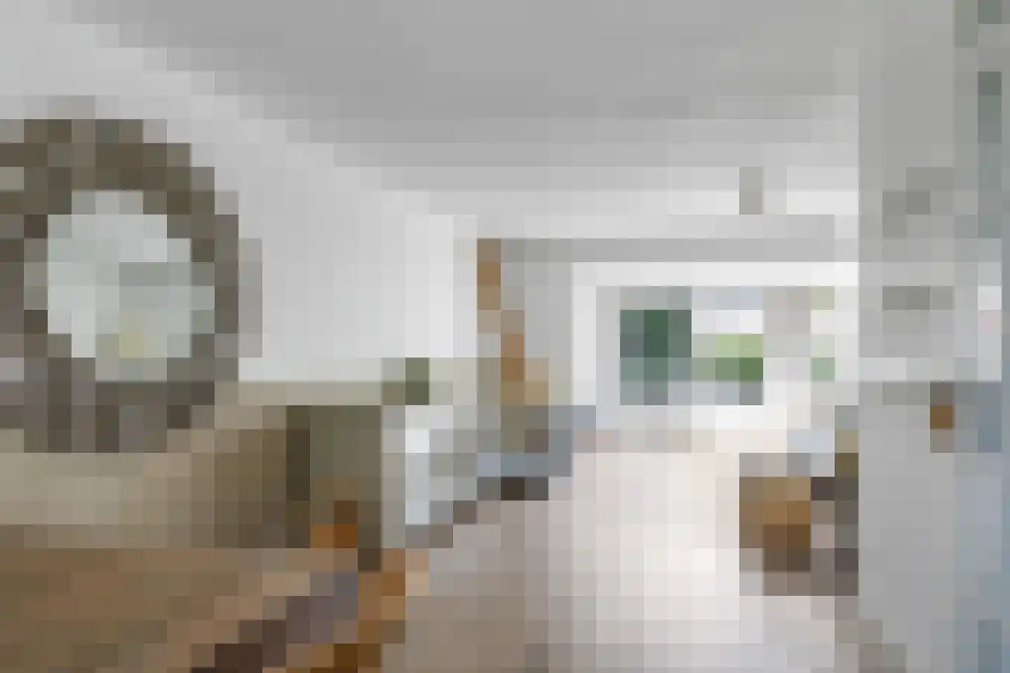 De Veldse Hofstede 59 Zetten thumbnail 18