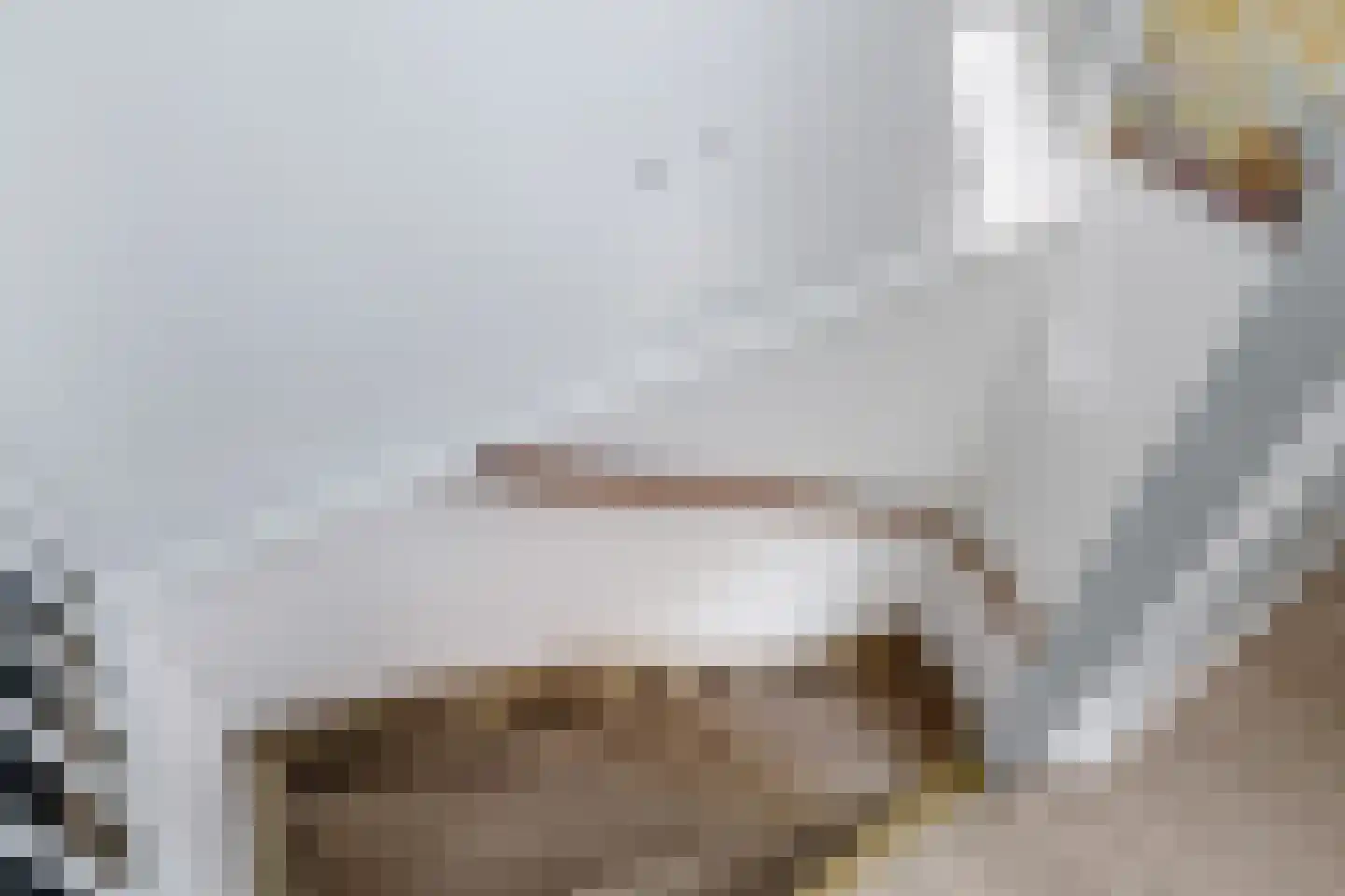 De Veldse Hofstede 59 Zetten thumbnail 52