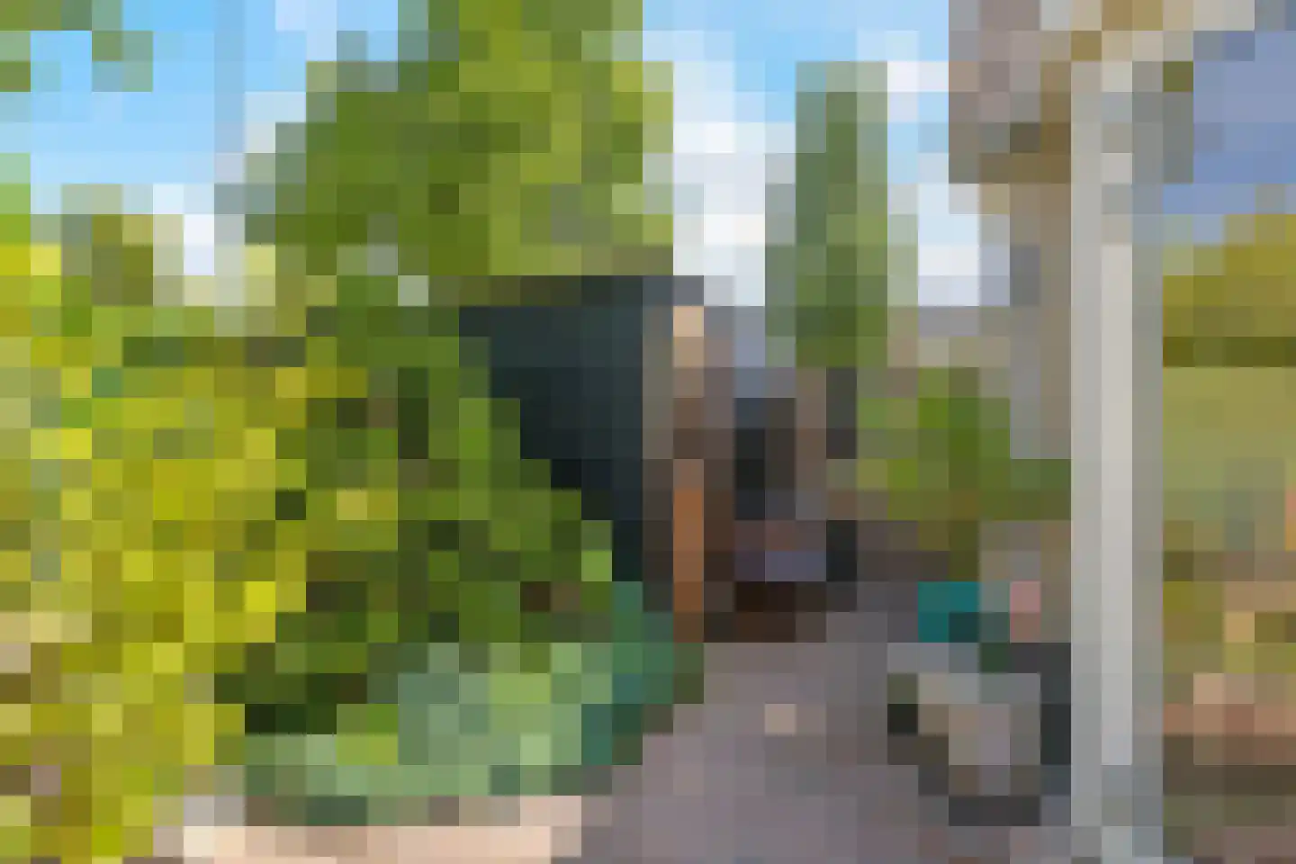 De Veldse Hofstede 59 Zetten thumbnail 79