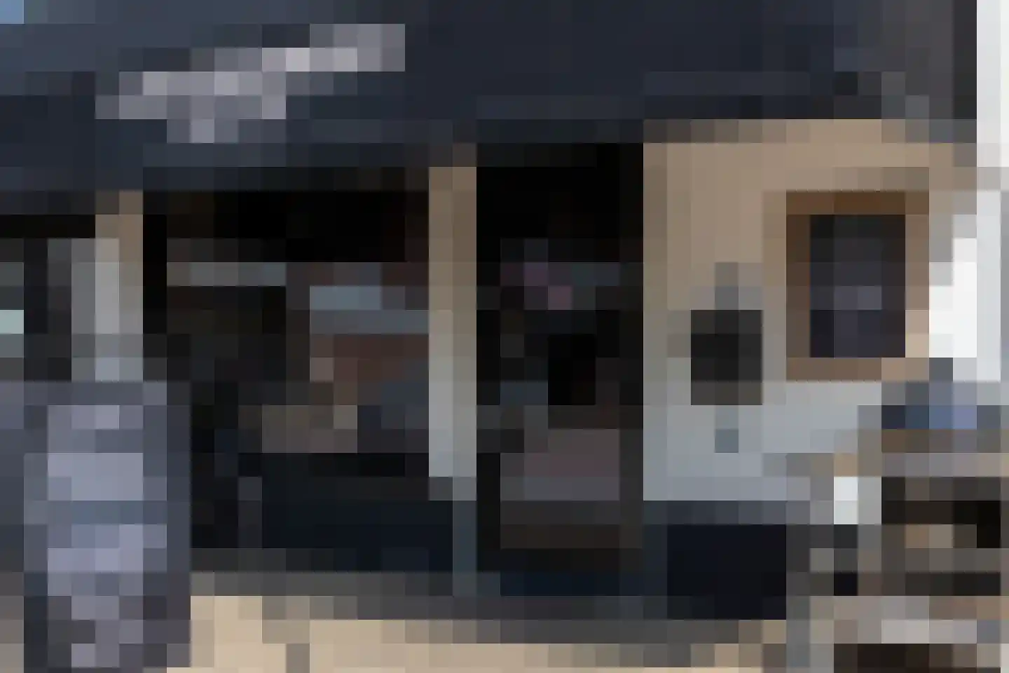 De Veldse Hofstede 59 Zetten thumbnail 96