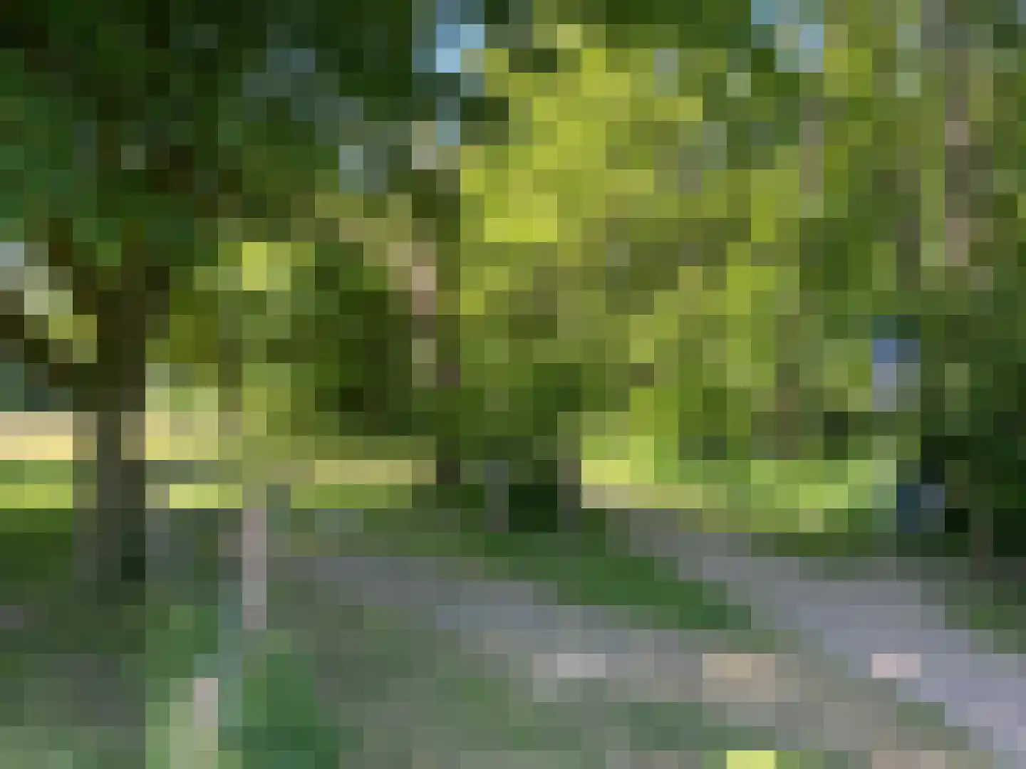 De Veldse Hofstede 59 Zetten thumbnail 98