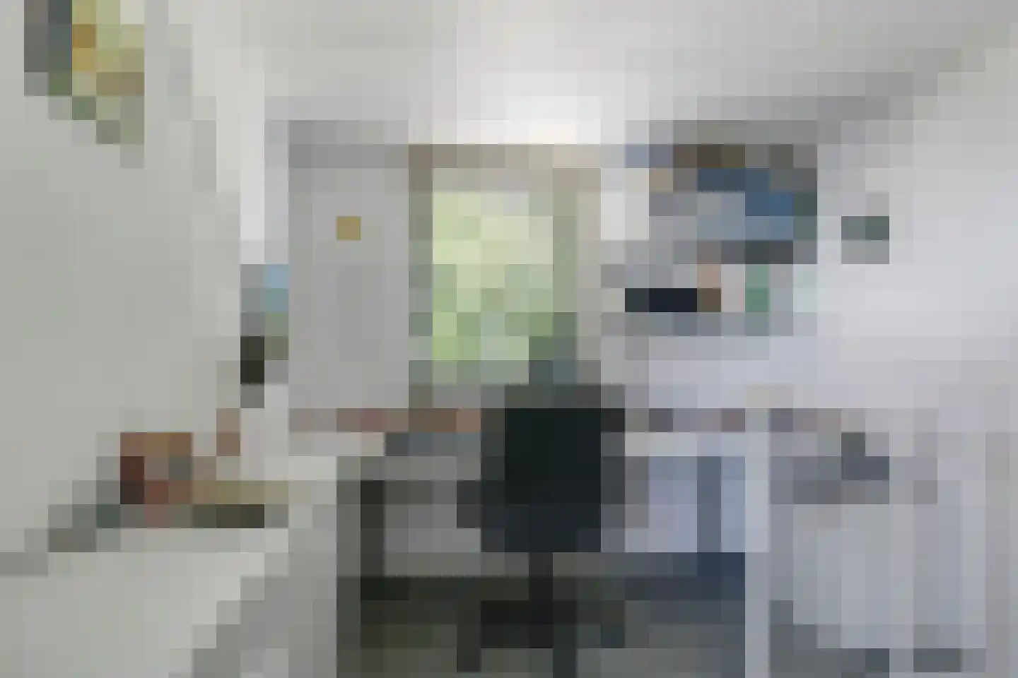 De Veldse Hofstede 96 Zetten thumbnail 34