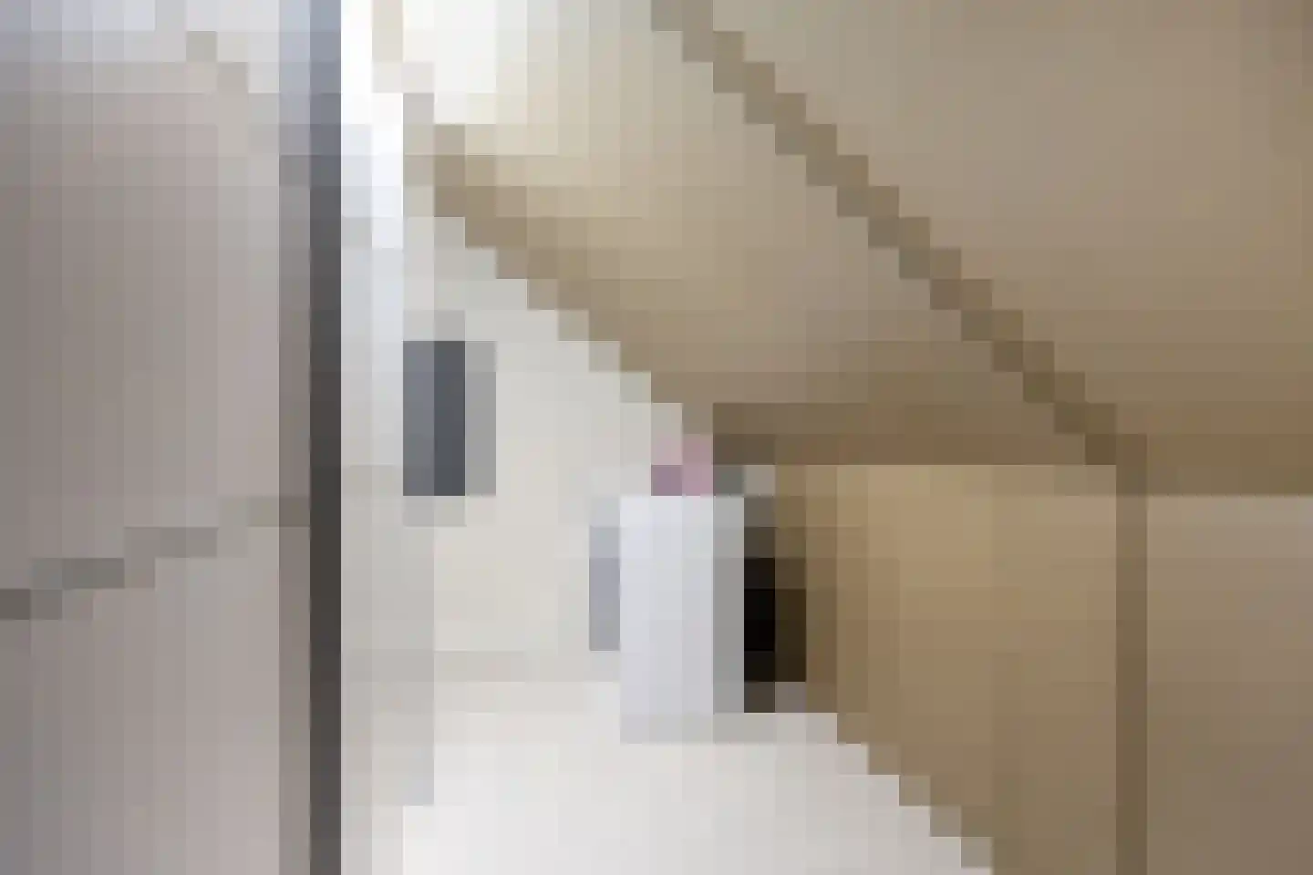 De Veldstede 27 Meterik thumbnail 13