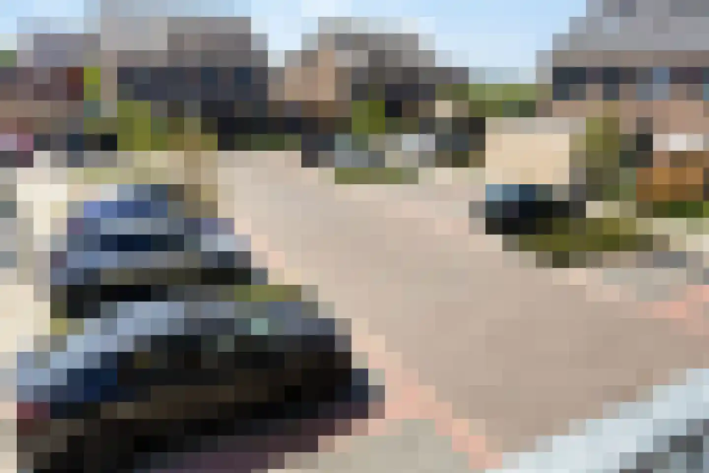 De Veldstede 27 Meterik thumbnail 21