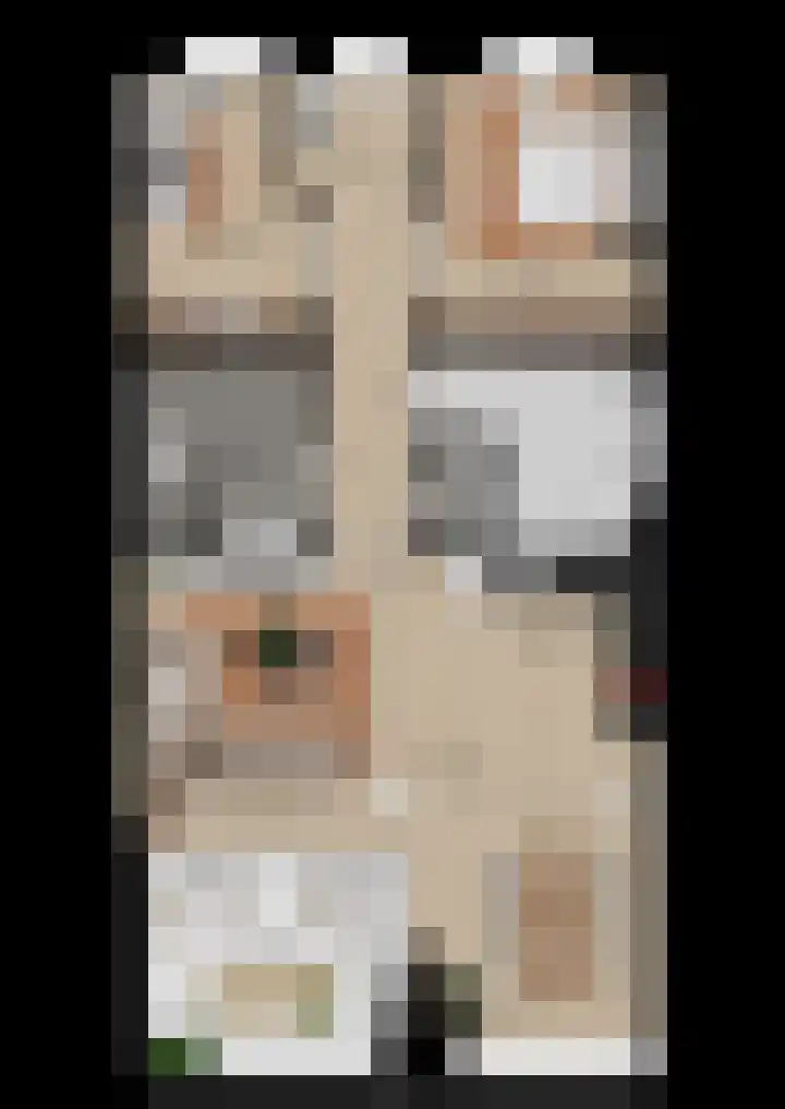 De Veldstegge 11 Geesteren thumbnail 9