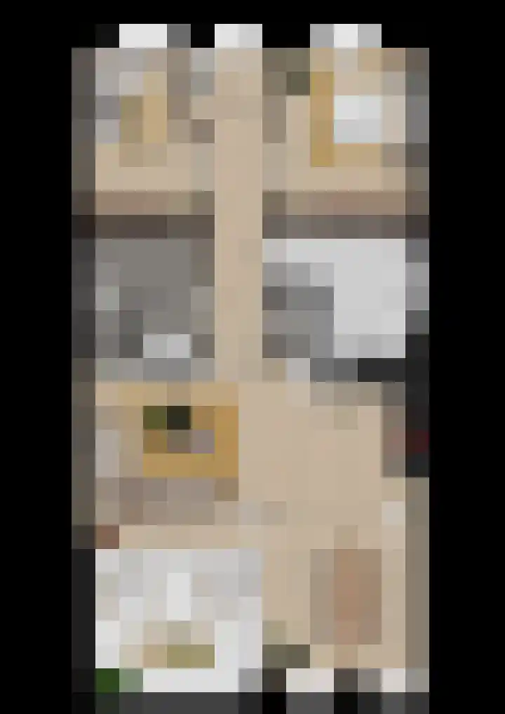 De Veldstegge 3 Geesteren thumbnail 9