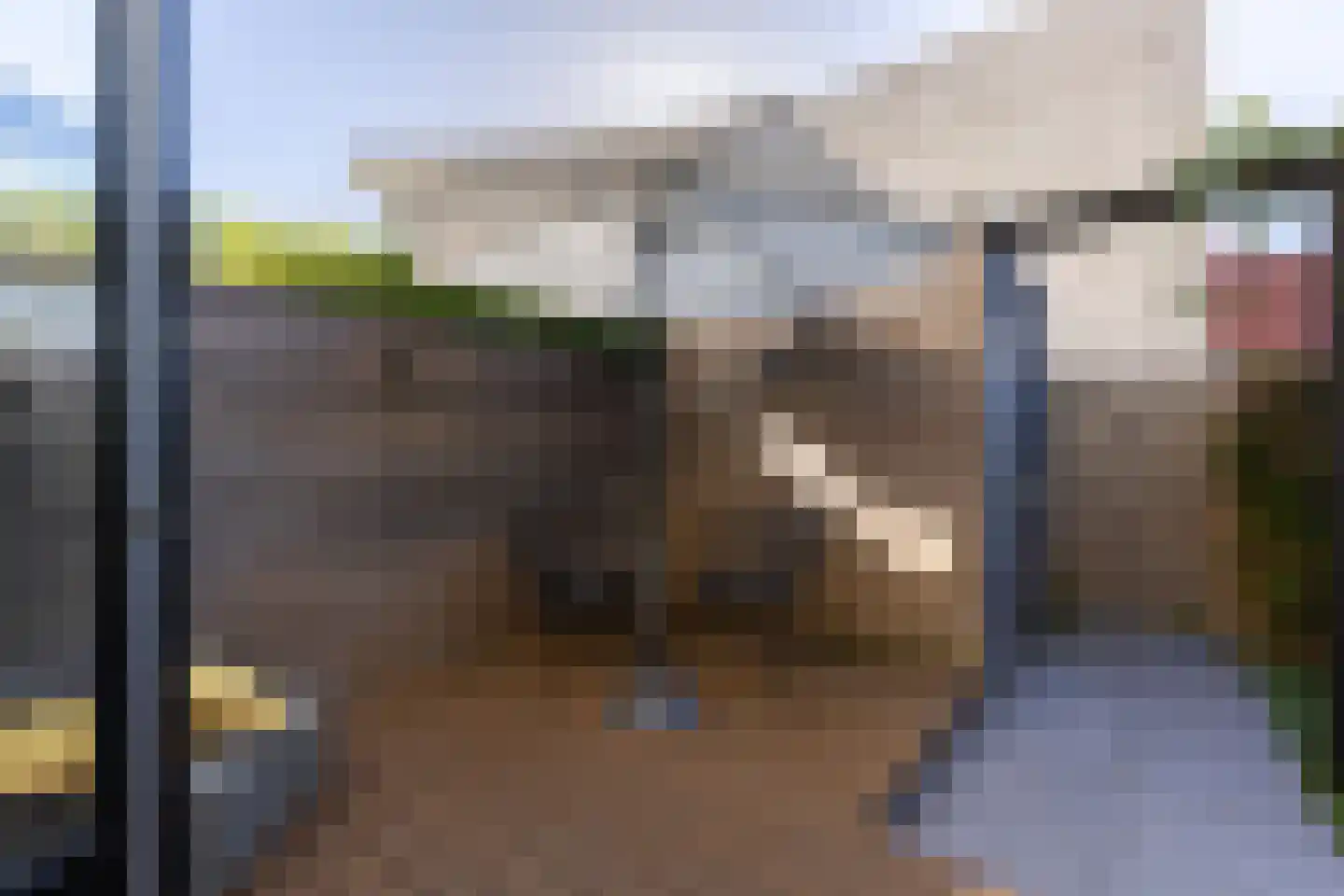 De Velduil 133 Amersfoort thumbnail 17