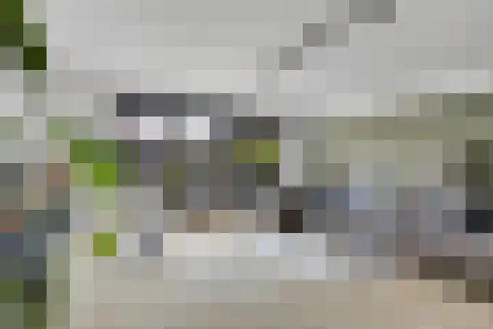De Velduil 137 Amersfoort thumbnail 14