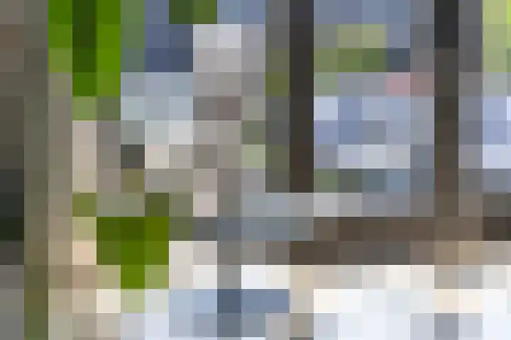 De Velduil 137 Amersfoort thumbnail 15