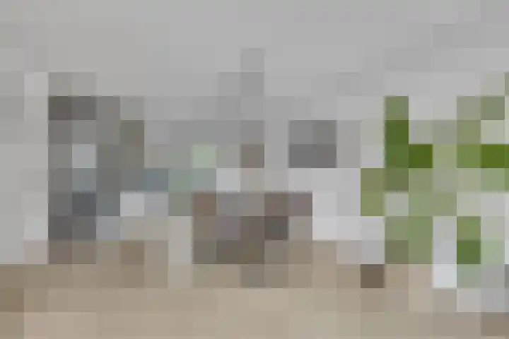 De Velduil 137 Amersfoort thumbnail 19