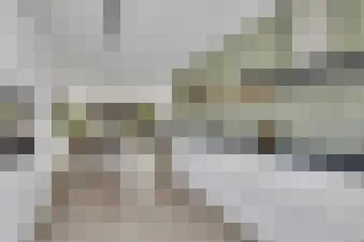 De Velduil 137 Amersfoort thumbnail 24