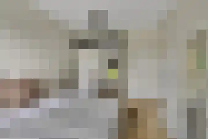 De Velduil 137 Amersfoort thumbnail 32