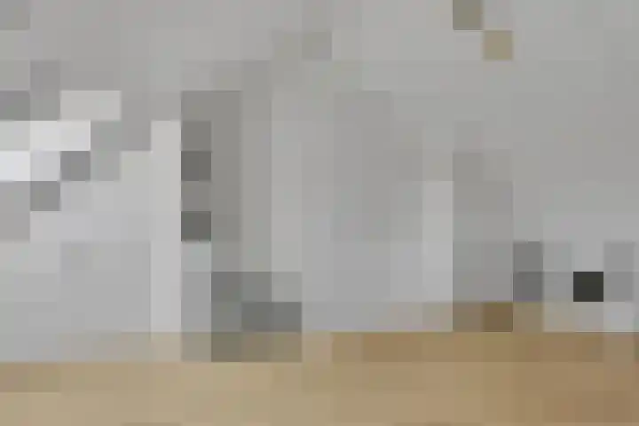 De Velduil 137 Amersfoort thumbnail 36