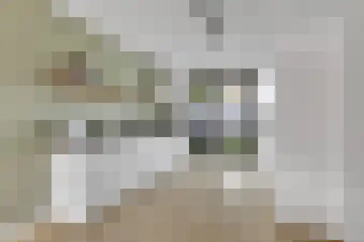 De Velduil 137 Amersfoort thumbnail 4