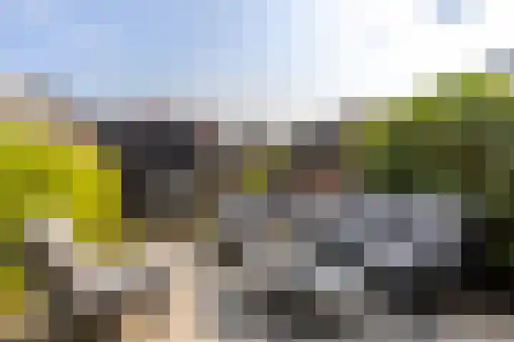 De Velduil 137 Amersfoort thumbnail 41