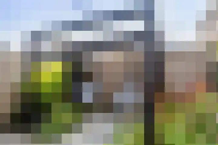 De Velduil 137 Amersfoort thumbnail 42