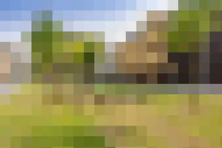 De Velduil 137 Amersfoort thumbnail 44