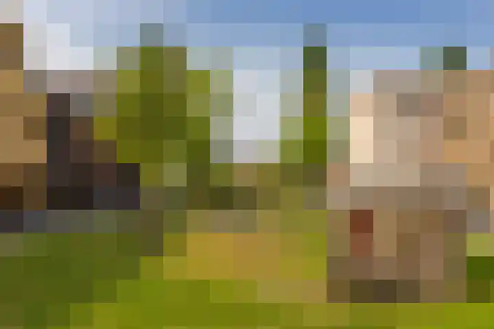 De Velduil 137 Amersfoort thumbnail 45
