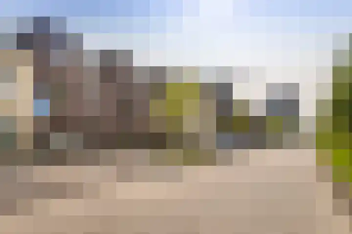 De Velduil 137 Amersfoort thumbnail 6
