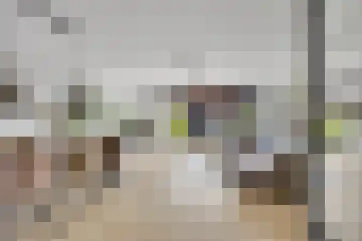De Velduil 137 Amersfoort thumbnail 9