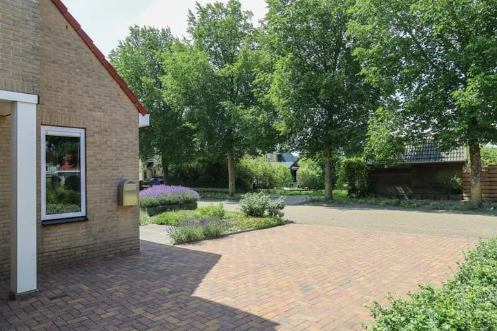 De Velduil 41 Harlingen thumbnail 6