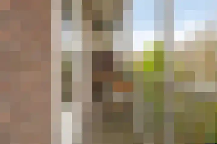 De Velduil 41 Harlingen thumbnail 68