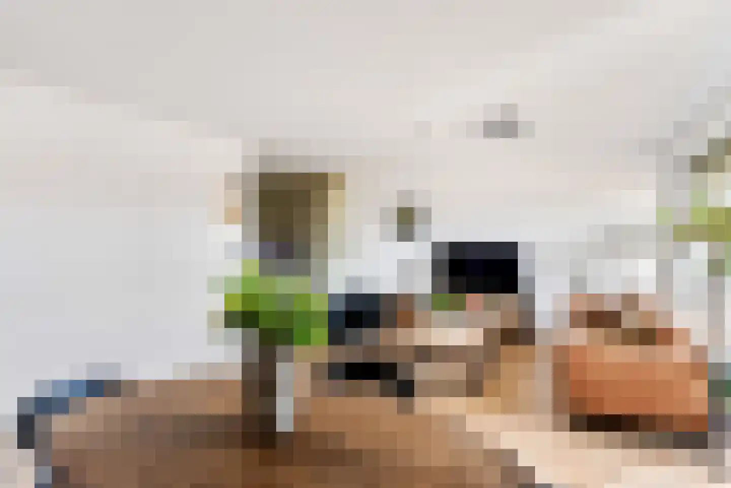 De Velduil 69 Amersfoort thumbnail 21