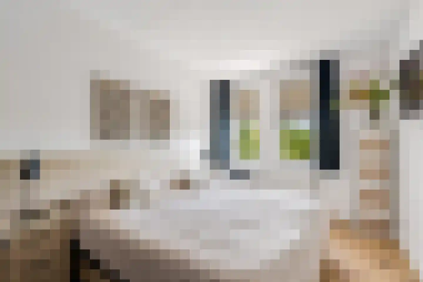 De Velduil 69 Amersfoort thumbnail 4