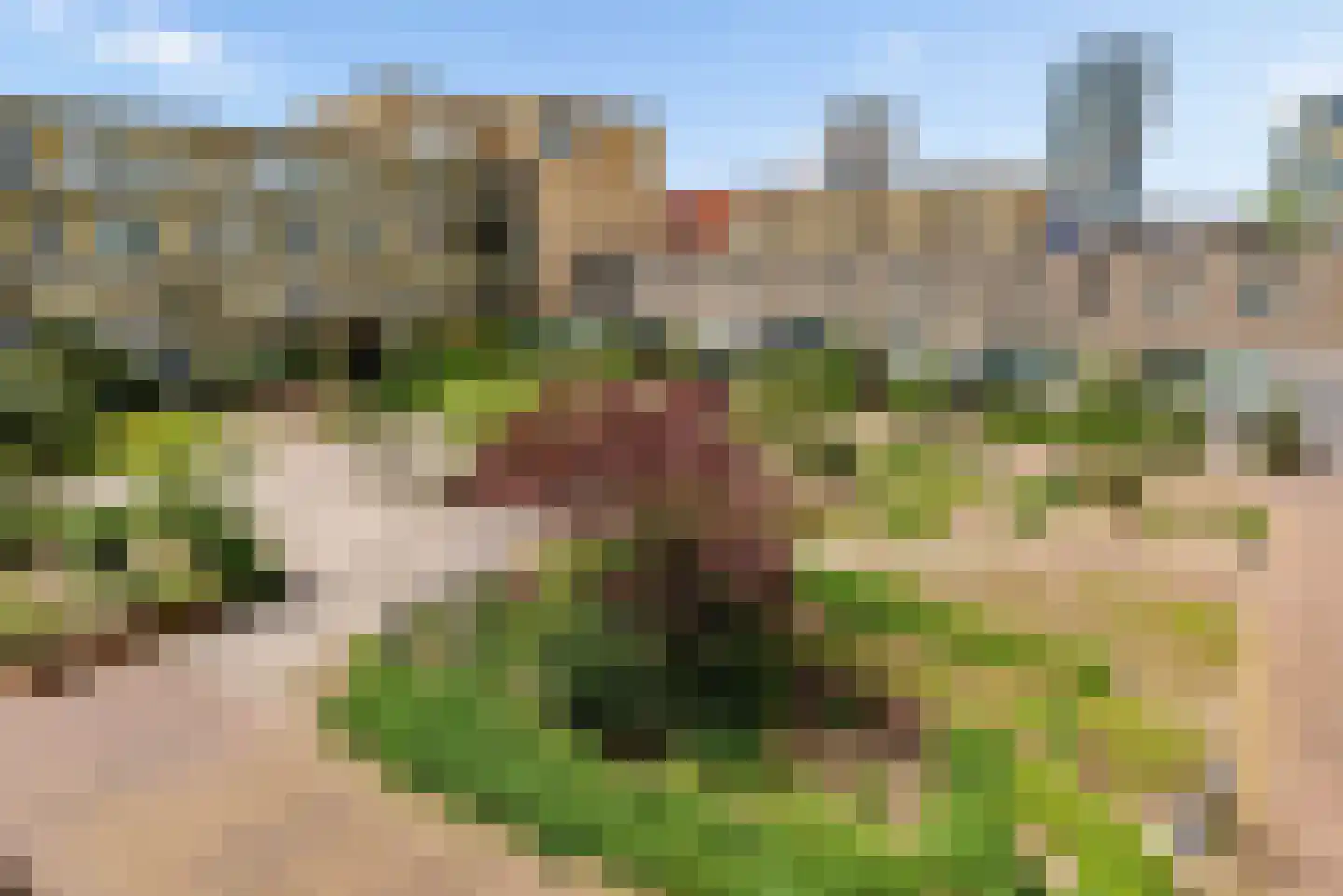 De Velduil 69 Amersfoort thumbnail 43