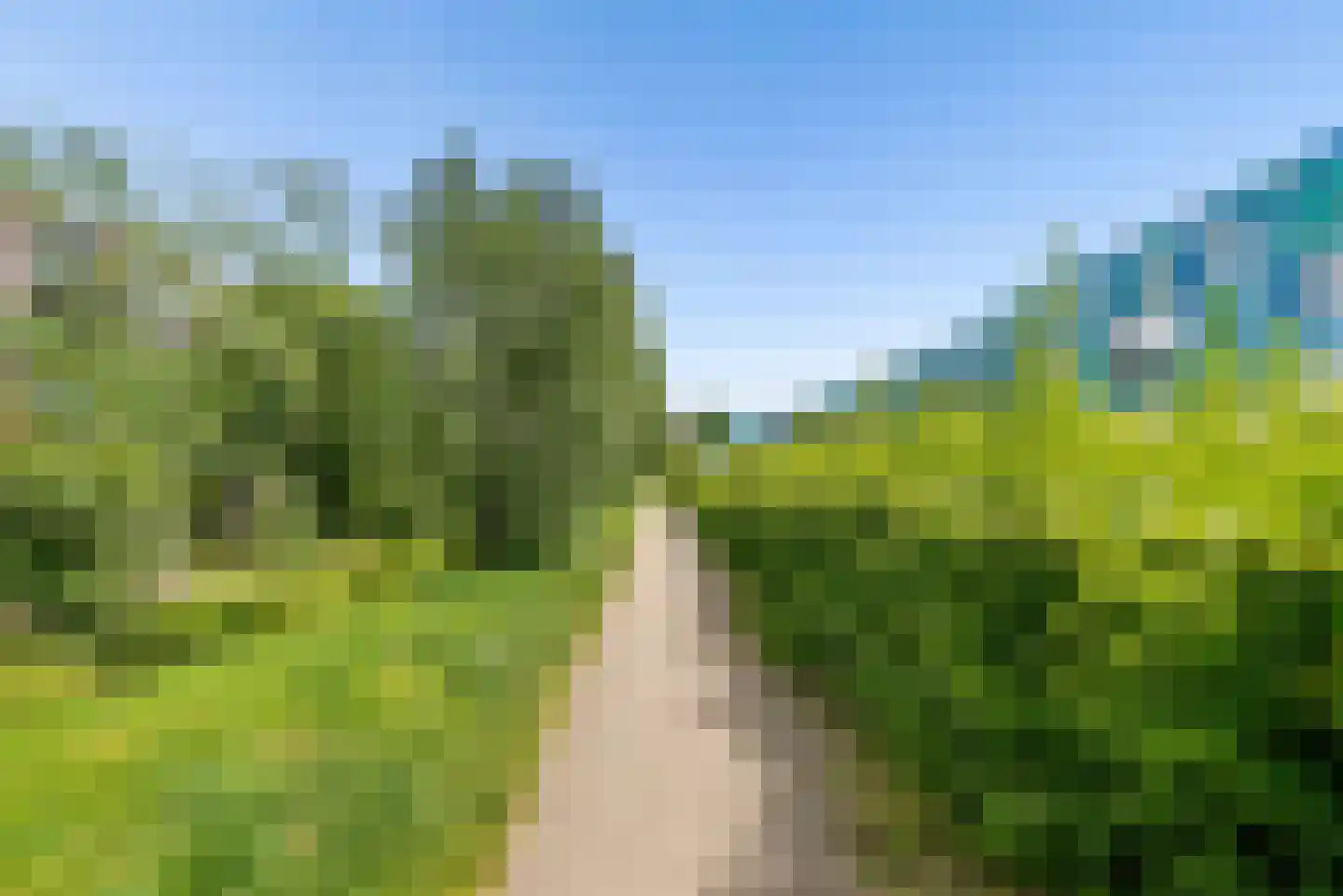 De Velduil 69 Amersfoort thumbnail 62