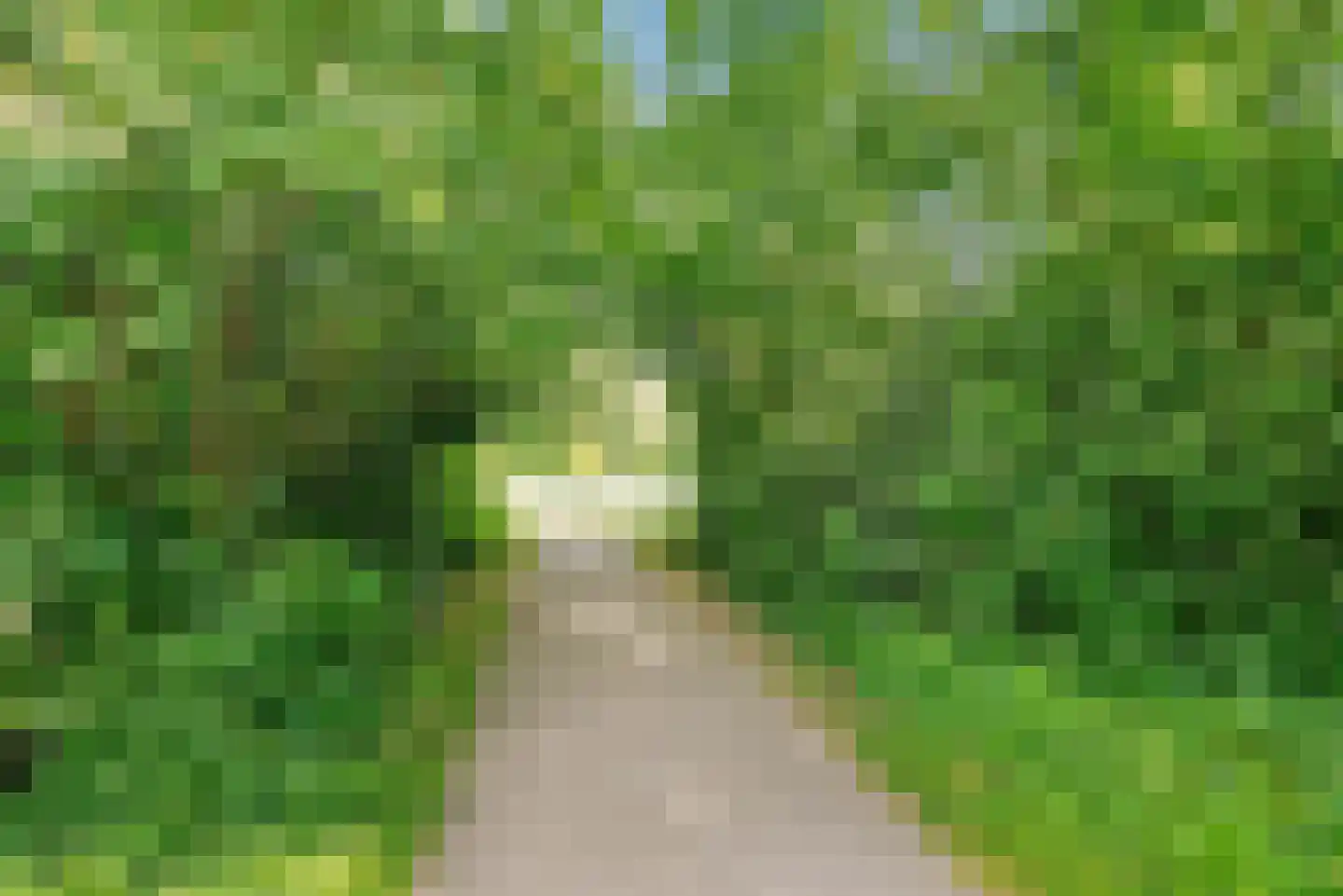 De Velduil 69 Amersfoort thumbnail 64