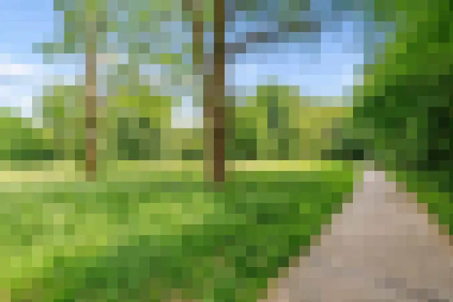 De Velduil 69 Amersfoort thumbnail 66