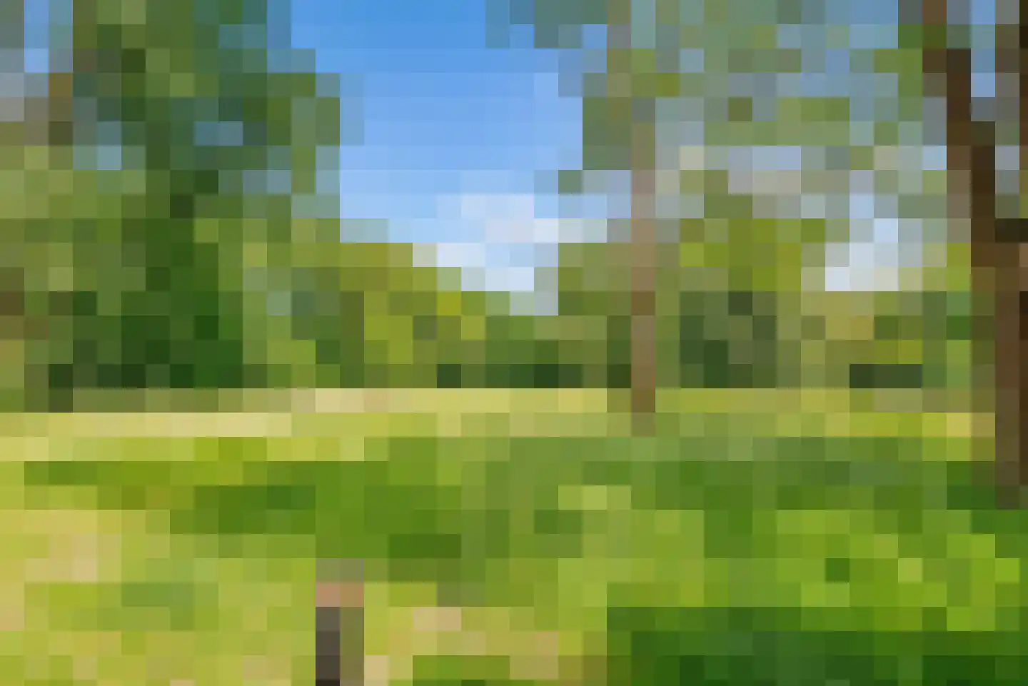 De Velduil 69 Amersfoort thumbnail 67