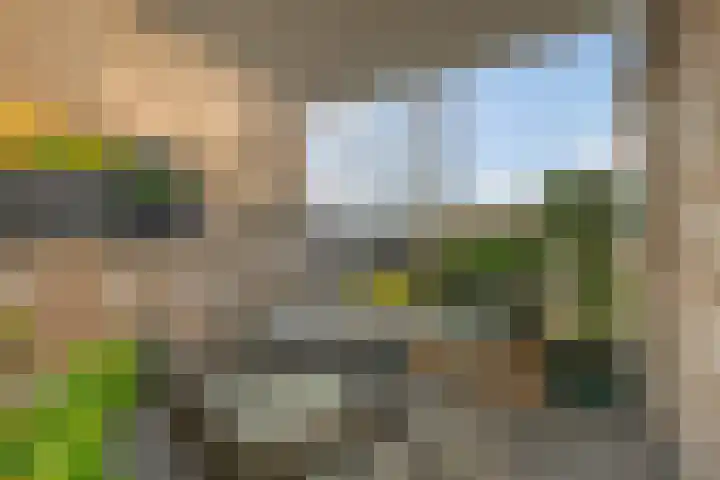 De Velduil 71 Amersfoort thumbnail 15