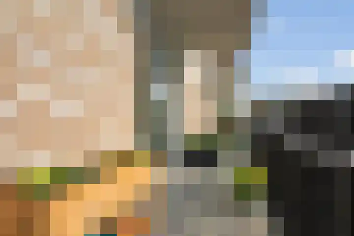 De Velduil 71 Amersfoort thumbnail 16
