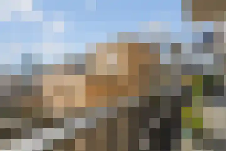 De Velduil 71 Amersfoort thumbnail 17