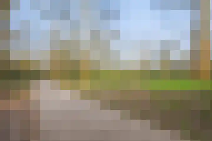 De Velduil 71 Amersfoort thumbnail 26
