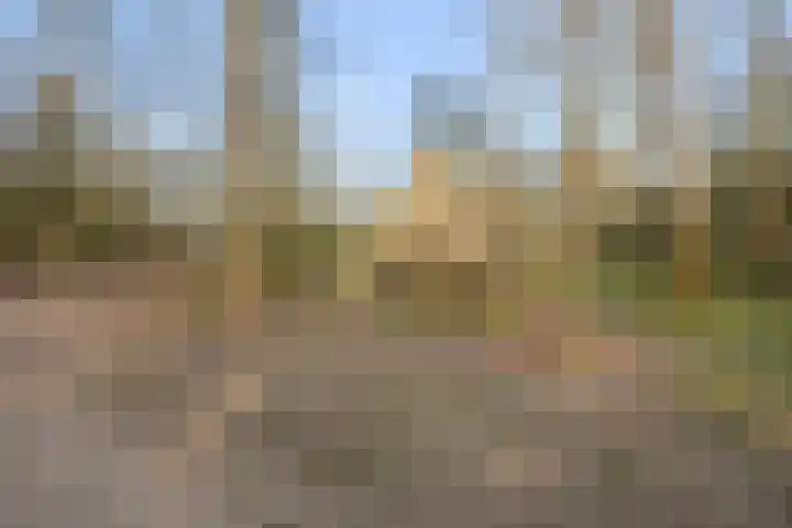 De Velduil 71 Amersfoort thumbnail 27