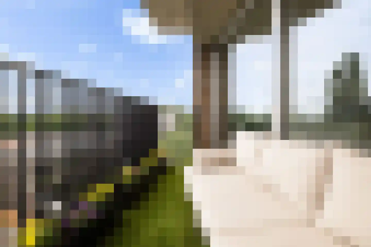De Velduil 91 Amersfoort thumbnail 18