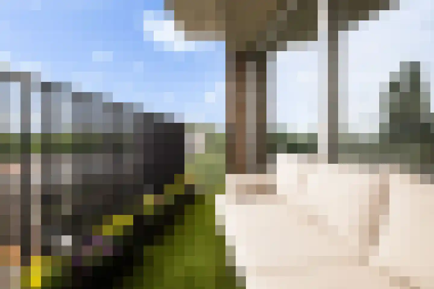 De Velduil 91 Amersfoort thumbnail 21